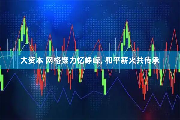 大资本 网格聚力忆峥嵘, 和平薪火共传承