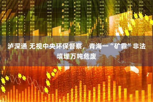 泸深通 无视中央环保督察，青海一“矿霸”非法填埋万吨危废