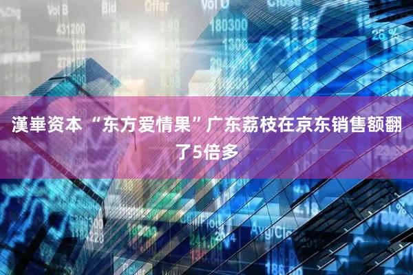 漢崋资本 “东方爱情果”广东荔枝在京东销售额翻了5倍多