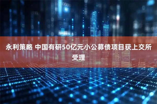 永利策略 中国有研50亿元小公募债项目获上交所受理