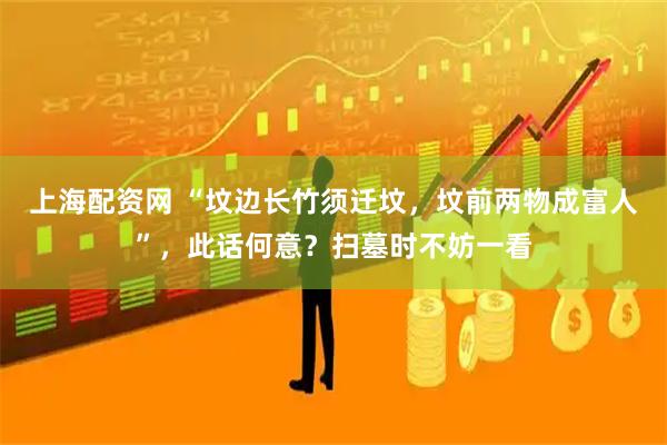 上海配资网 “坟边长竹须迁坟，坟前两物成富人”，此话何意？扫墓时不妨一看
