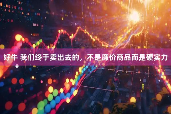 好牛 我们终于卖出去的，不是廉价商品而是硬实力