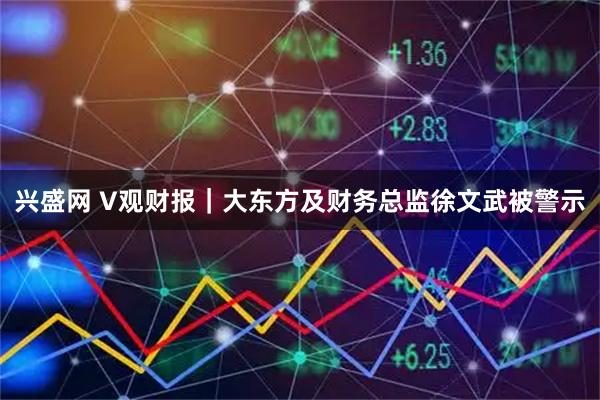 兴盛网 V观财报｜大东方及财务总监徐文武被警示