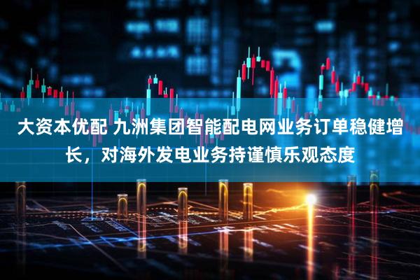 大资本优配 九洲集团智能配电网业务订单稳健增长，对海外发电业务持谨慎乐观态度